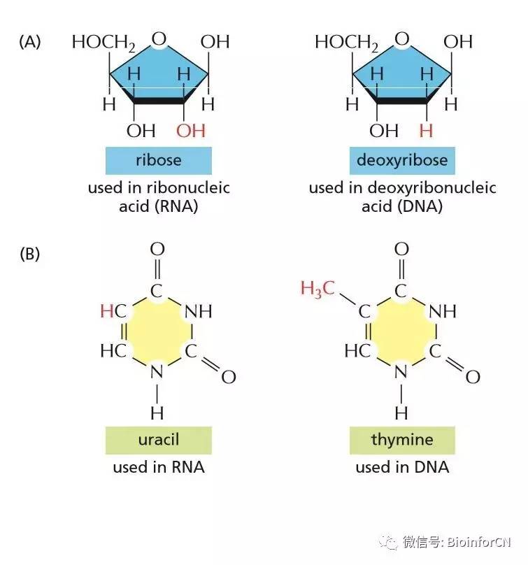 可認證的喬納斯 视频截图