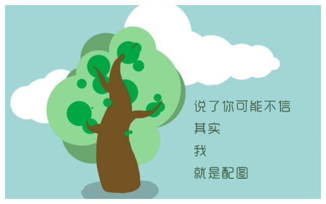 休夫記 产品图片