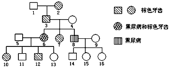 伴你高飛1996 视频截图