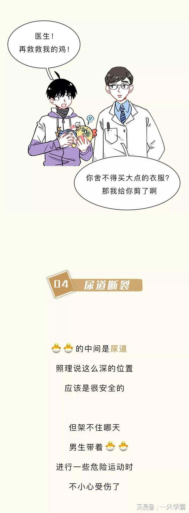 仙履奇緣 视频截图