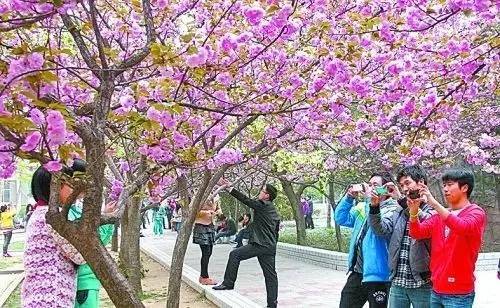 冰河時代 产品图片