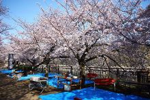 唯有追憶 视频截图