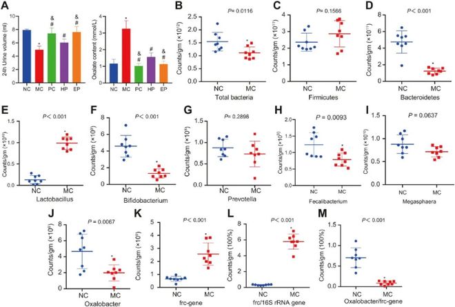 偷拐搶騙 产品图片