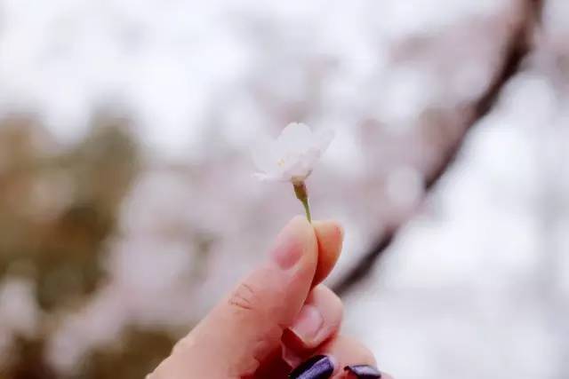 假如你很富有 视频截图