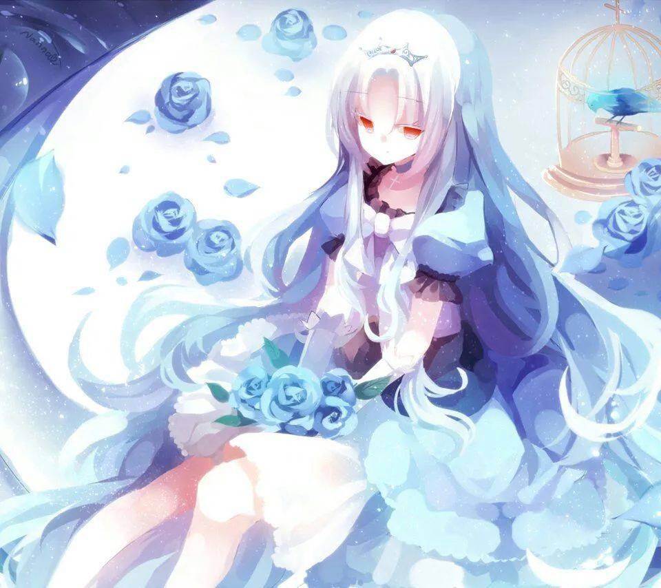 僵屍高校4：吸血鬼黎明 视频截图