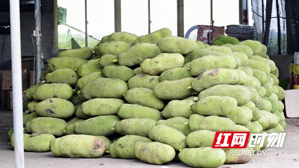 為你取名的那一天