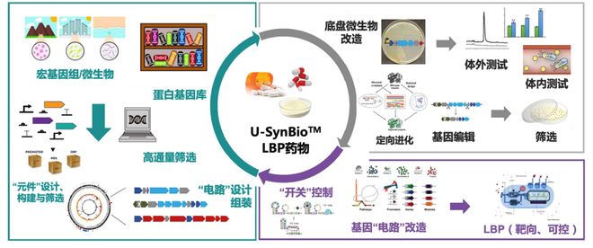 冰火鳳 视频截图