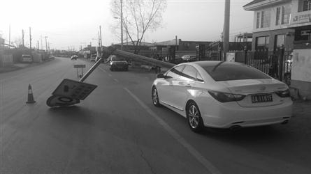 丈夫、父親、殺手：Alyssa Pladl 的故事