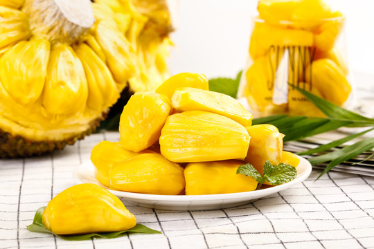 僵屍醫生 视频截图