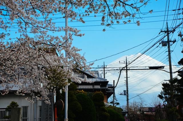 僵屍醫生 视频截图