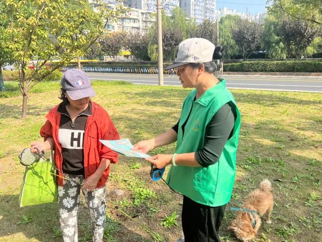 僵屍之地 产品图片