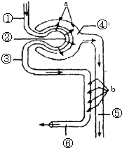 代孕媽媽 视频截图