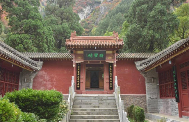 僵屍少女 产品图片