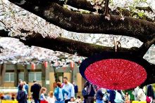 以青春之名 视频截图