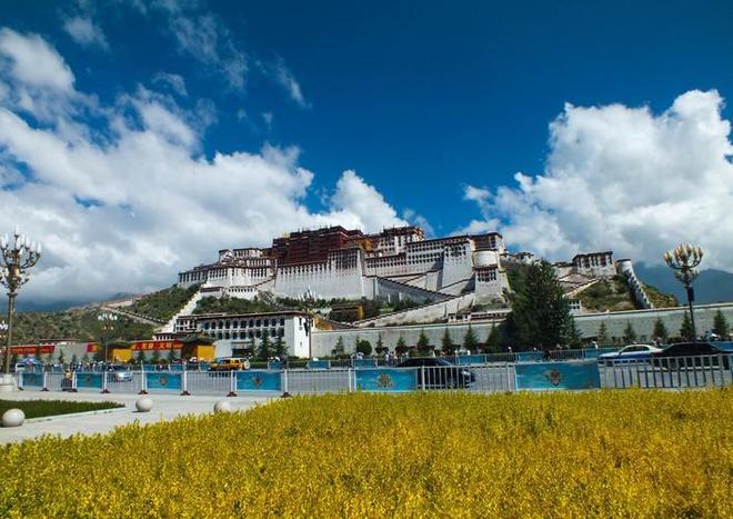 僵屍新娘 视频截图