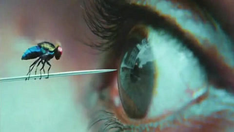 伊斯坦堡奇跡夜 视频截图