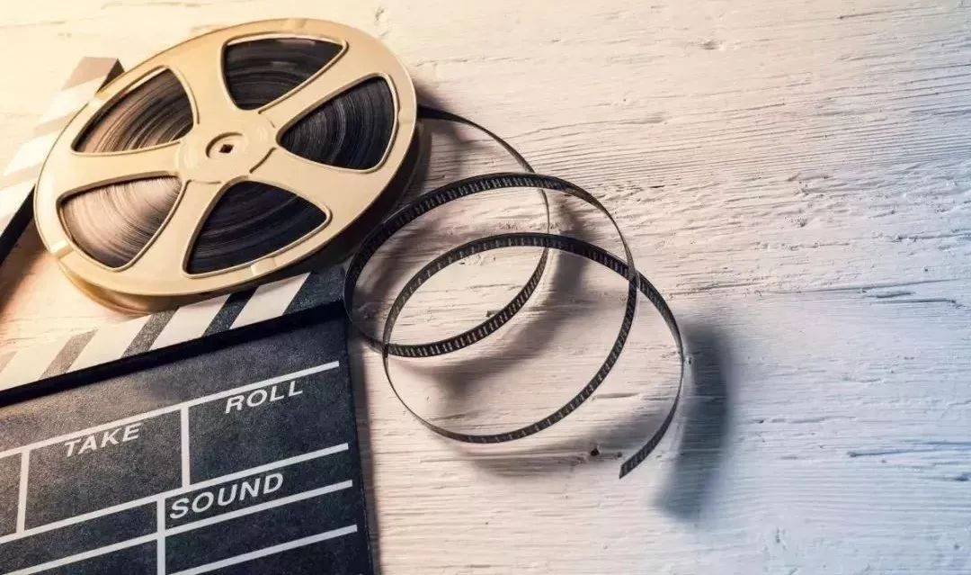 僵屍 2013 产品图片