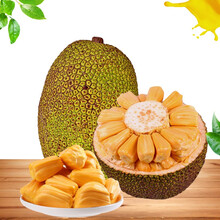 喧囂之音 视频截图