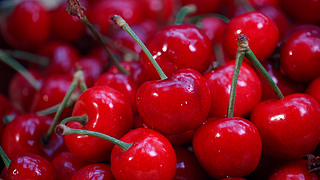 兄妹探寶 产品图片