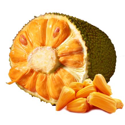 你想去哪裏？ 视频截图