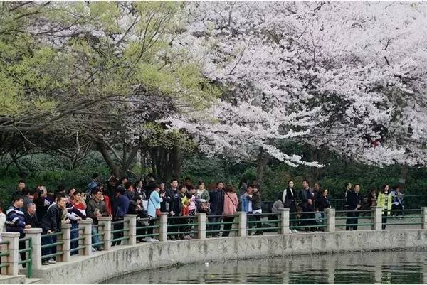 史前一萬年 视频截图