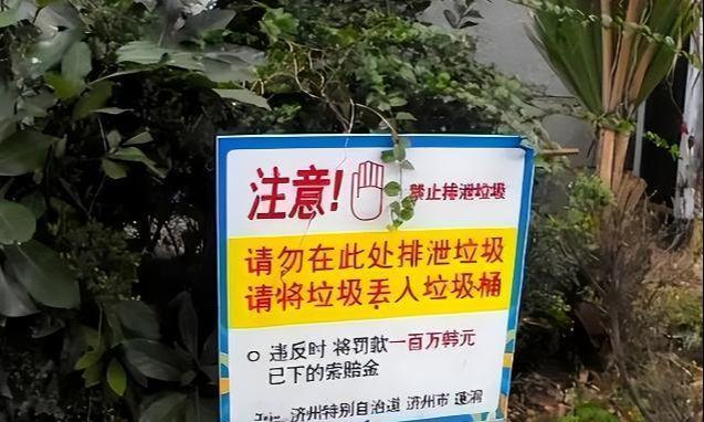 決鬥的人 视频截图