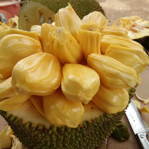 修女傳 视频截图