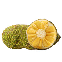 地海傳說 视频截图