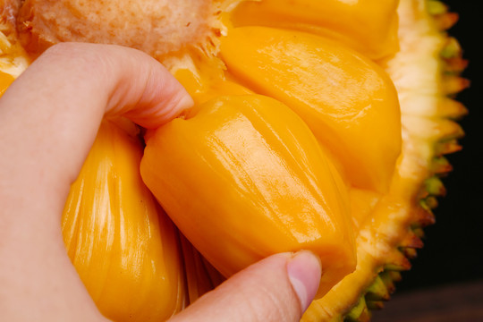 倒黴蛋 视频截图