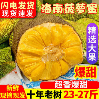 偶滴神啊2 视频截图