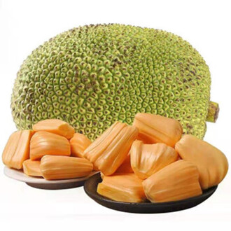 企鵝與漁夫 视频截图