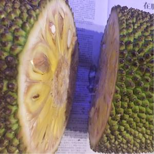 哆啦A夢：大雄的地球交響樂普通話版 视频截图