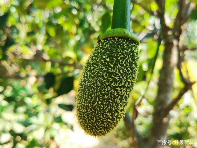 你想去哪裏？ 视频截图