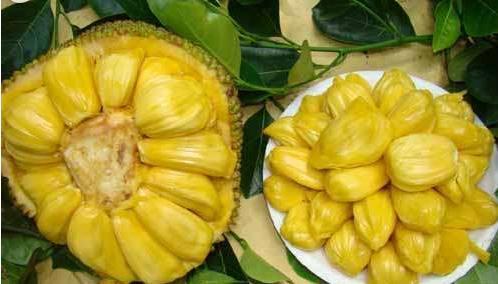 冰雪奇緣 产品图片