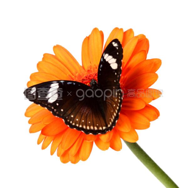 假日旅途：希臘之旅 视频截图