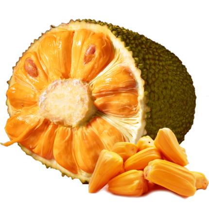 冬雪暖陽 产品图片