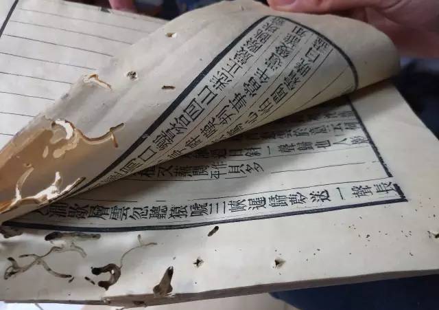 傘頭和他的女人 视频截图