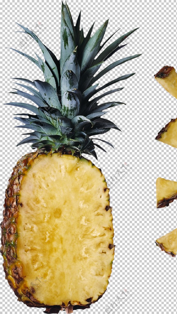 傭兵之戰 视频截图