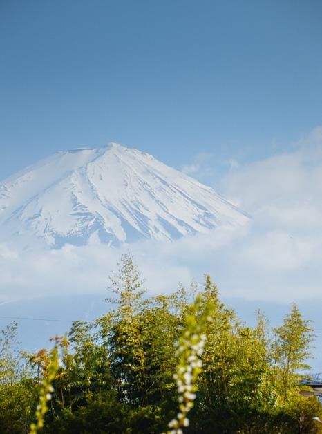 大尾鱸鰻 视频截图