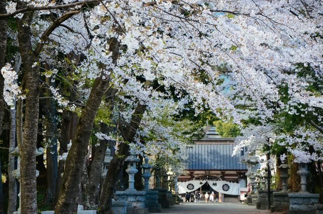 做工的人 视频截图