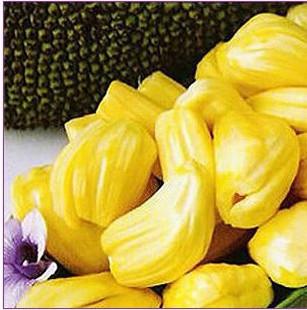 偷天換日（國語版） 视频截图