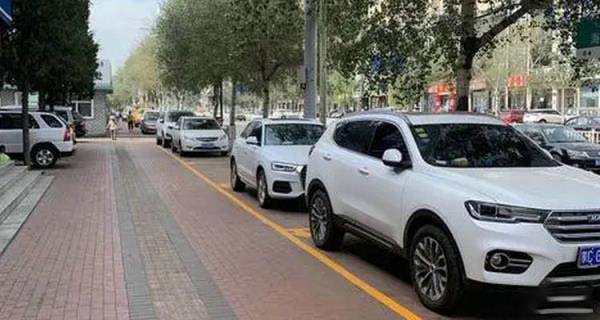 兄弟之仇 视频截图