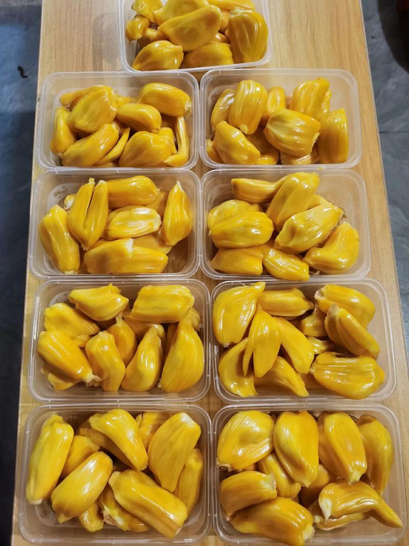 偽裝大師1：維多女人