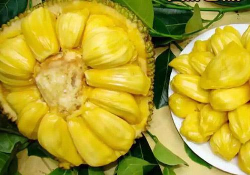 信訪辦主任 视频截图