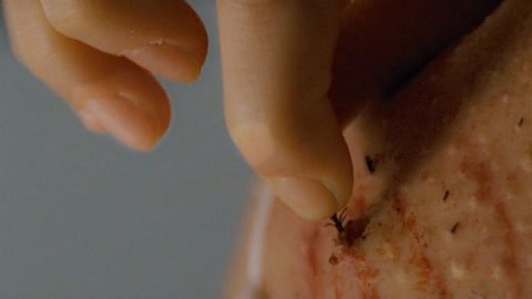 偷心俏佳人 产品图片