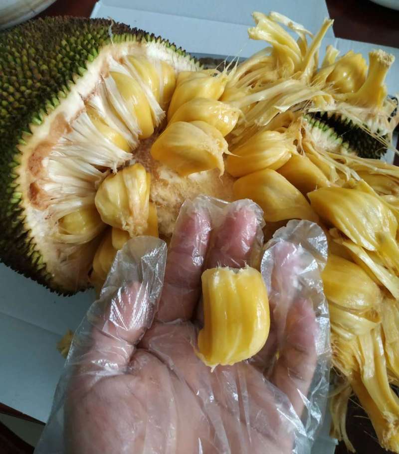 便攜門 视频截图