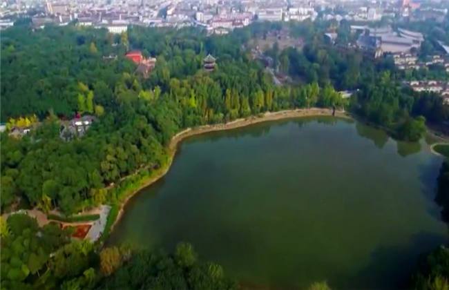 何帥的愛情 视频截图