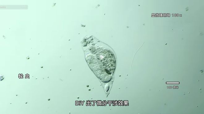 叛諜追擊 视频截图