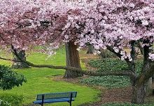 冷酷探戈 视频截图