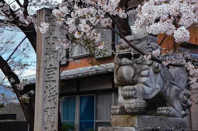 僵屍高校4：吸血鬼黎明 视频截图